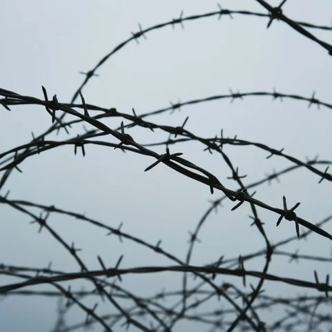 Колючая проволока КЦ-3 08кп ГОСТ 285-69