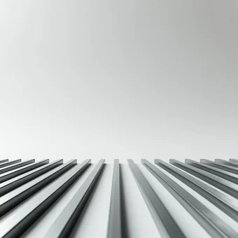 Судовая полоса